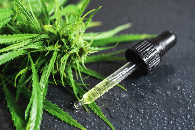 Is CBD Oil Legal? A Comprehensive Guide to CBD Legalities Around the World