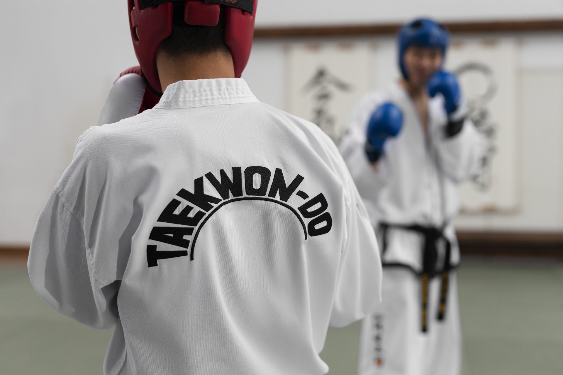 Taekwondo Belt Levels: Climbing the Ranks | Baller Circuit